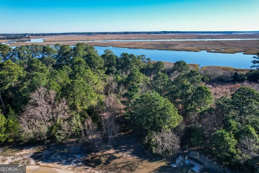 LOT 46 Laughing Gull Hideaway DR Midway, GA 31320