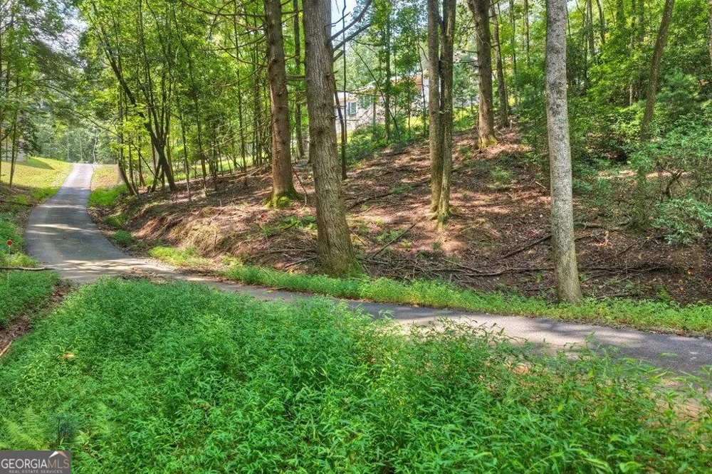 607 Satsuma CT S Ellijay, GA 30540