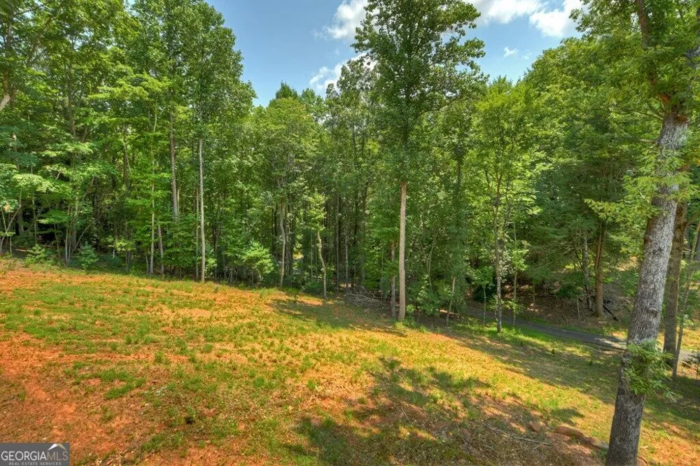 607 Satsuma CT S Ellijay, GA 30540