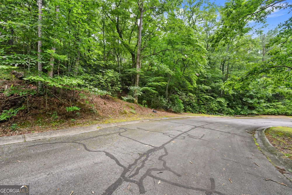 349 Golden Lane Clarkesville, GA 30523