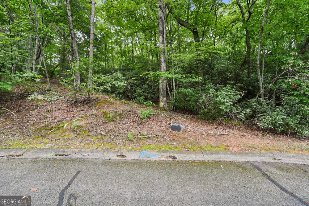 349 Golden Lane Clarkesville, GA 30523