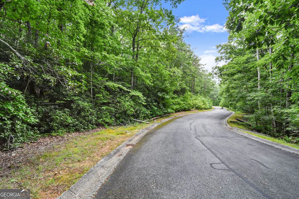 349 Golden Lane Clarkesville, GA 30523