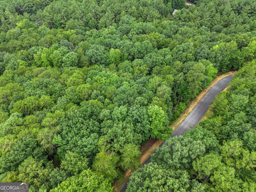 349 Golden Lane Clarkesville, GA 30523