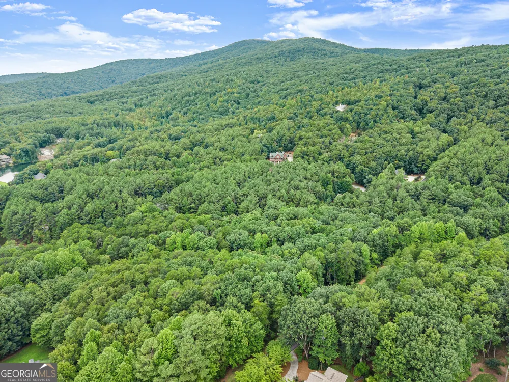 349 Golden Lane Clarkesville, GA 30523