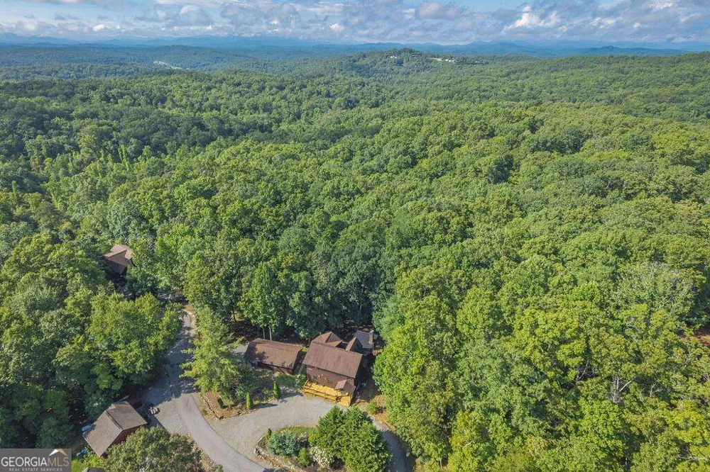 72 Gibbs TRL Mineral Bluff, GA 30559