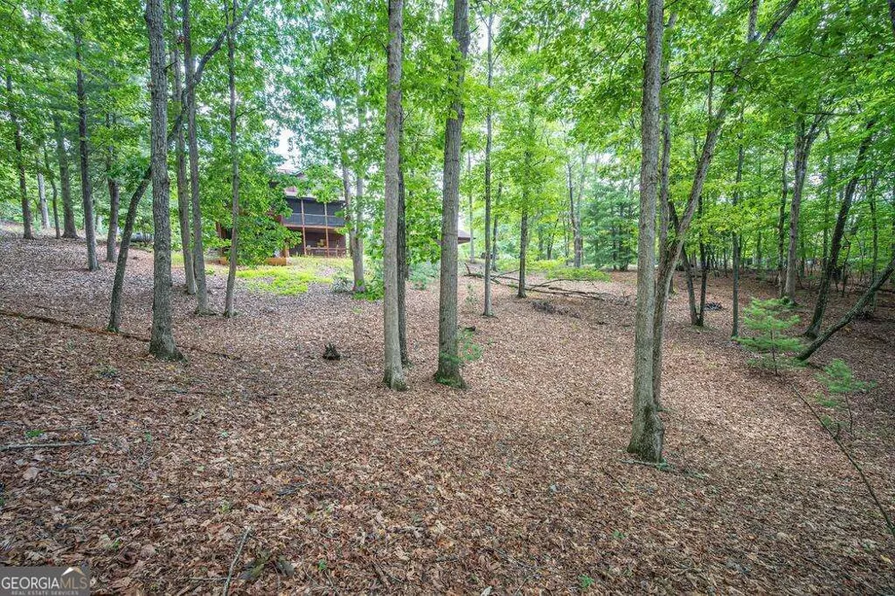 72 Gibbs TRL Mineral Bluff, GA 30559