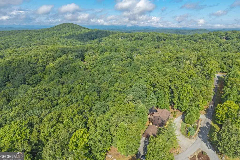 72 Gibbs TRL Mineral Bluff, GA 30559