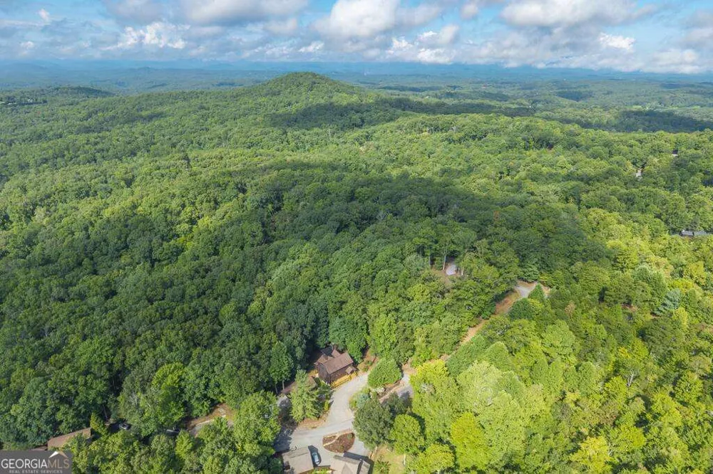 72 Gibbs TRL Mineral Bluff, GA 30559
