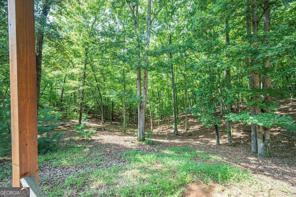 72 Gibbs TRL Mineral Bluff, GA 30559