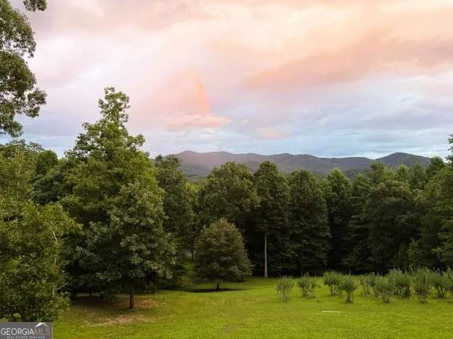 139 Gladys LN Young Harris, GA 30582