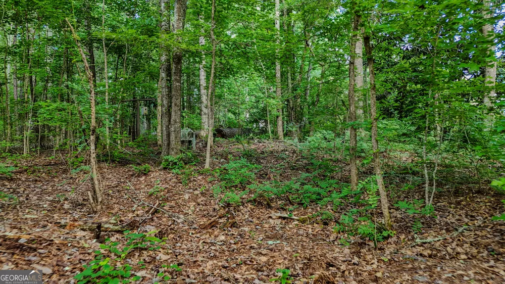 110 Handy RD Newnan, GA 30263