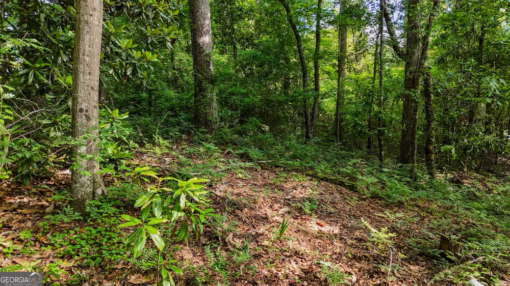 110 Handy RD Newnan, GA 30263