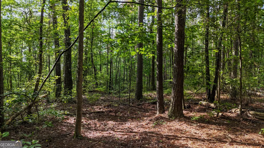 110 Handy RD Newnan, GA 30263