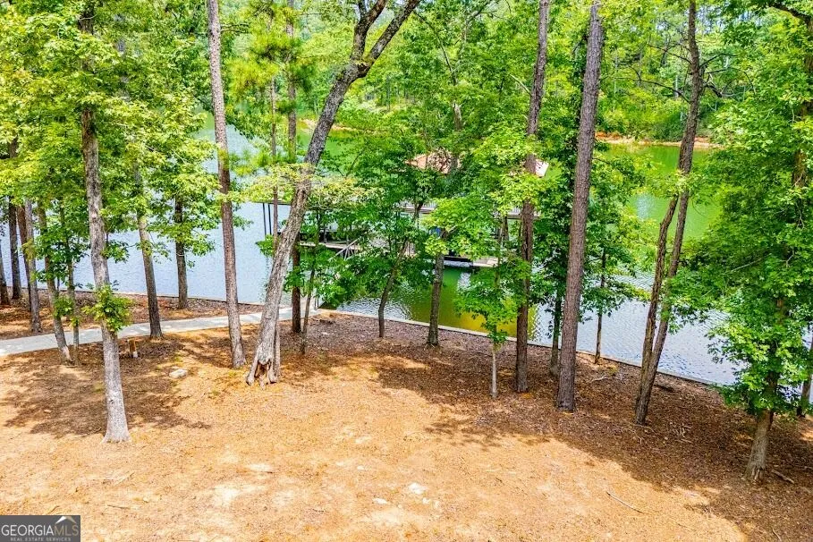 741 Firefly Lane Lot 17 and Lot 17A Lineville, AL 36266