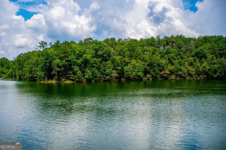741 Firefly Lane Lot 17 and Lot 17A Lineville, AL 36266