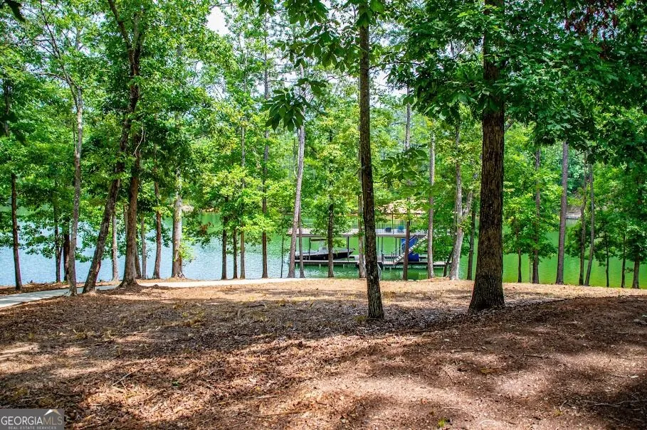 741 Firefly Lane Lot 17 and Lot 17A Lineville, AL 36266