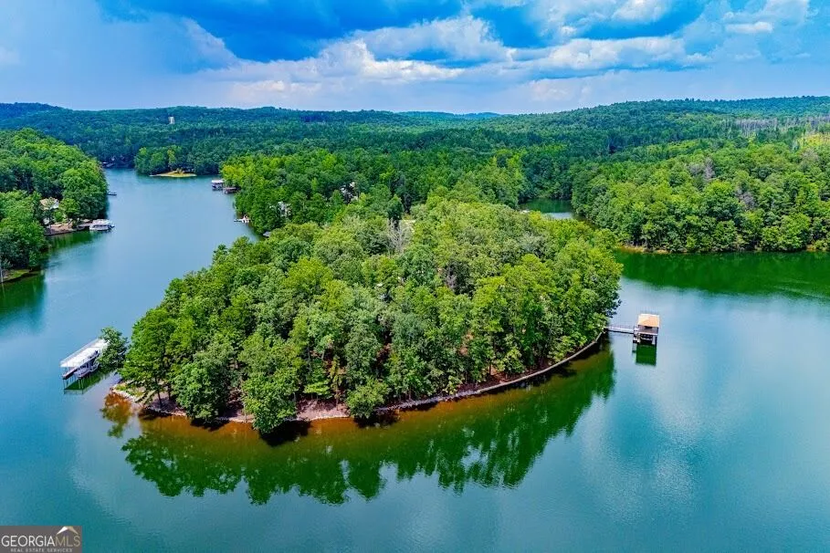 741 Firefly Lane Lot 17 and Lot 17A Lineville, AL 36266
