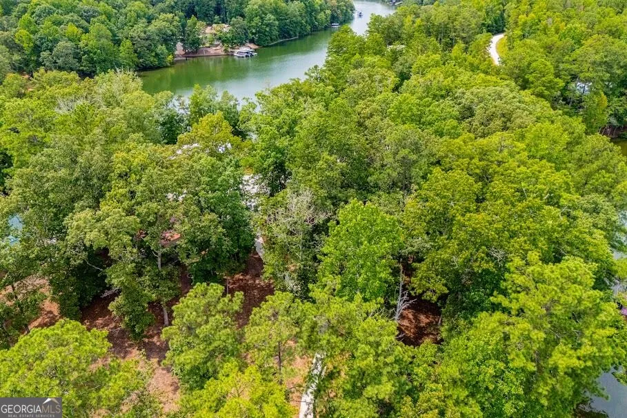 741 Firefly Lane Lot 17 and Lot 17A Lineville, AL 36266