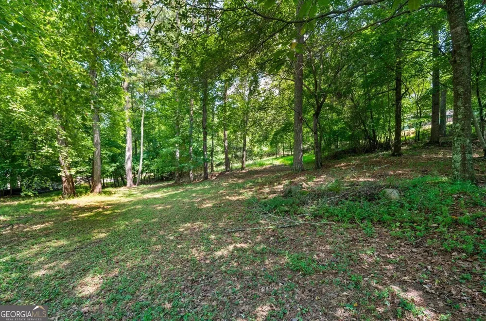 7805 Heardsville CIR Cumming, GA 30028