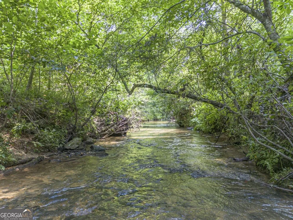 245 Sunrise Valley RD Blue Ridge, GA 30513