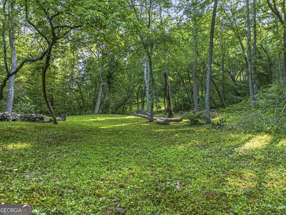 245 Sunrise Valley RD Blue Ridge, GA 30513