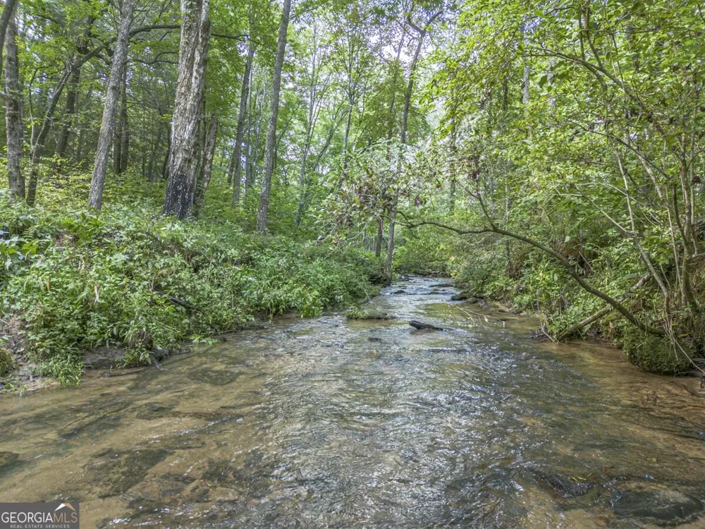 245 Sunrise Valley RD Blue Ridge, GA 30513