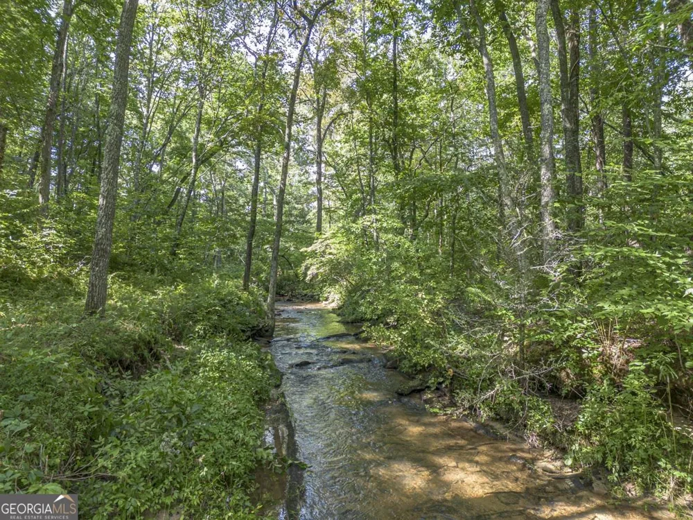 245 Sunrise Valley RD Blue Ridge, GA 30513