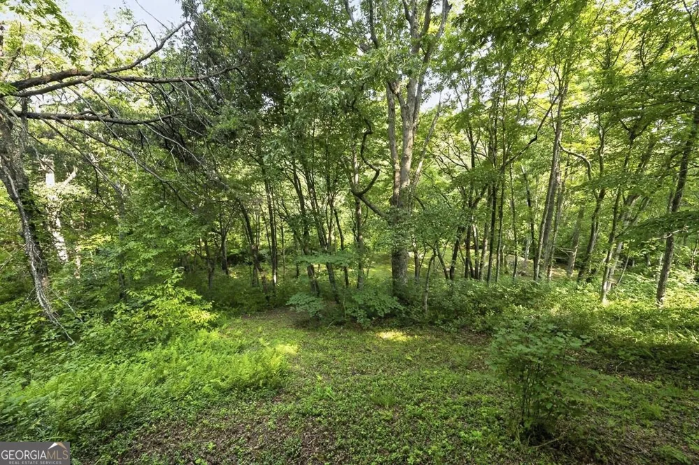 245 Sunrise Valley RD Blue Ridge, GA 30513