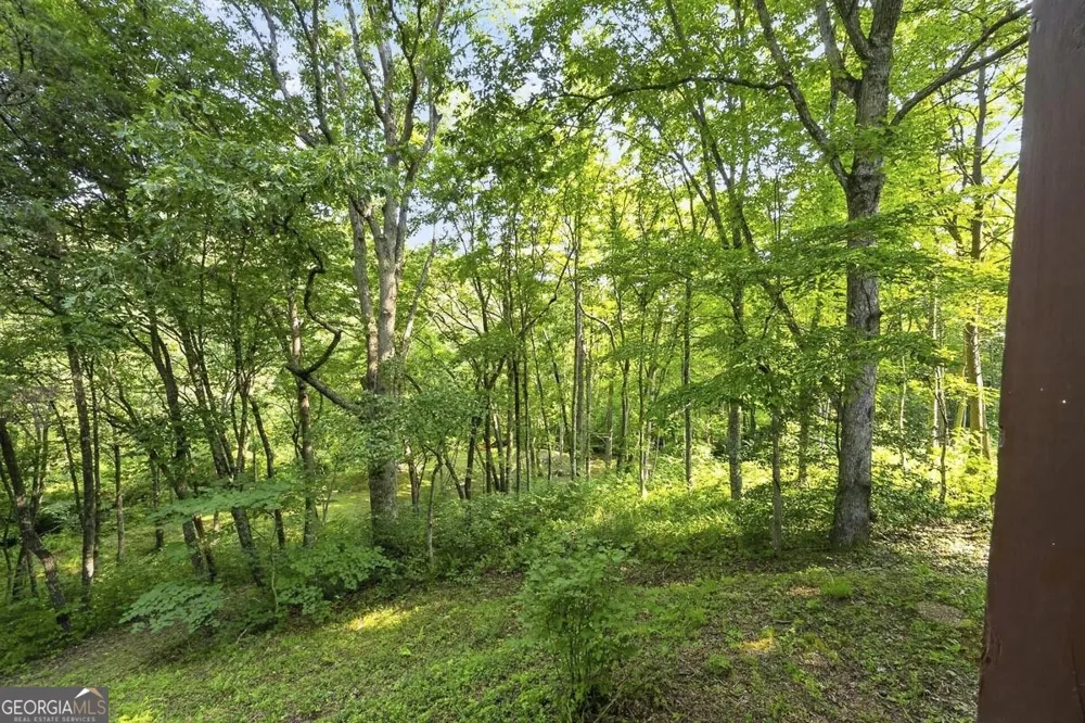 245 Sunrise Valley RD Blue Ridge, GA 30513