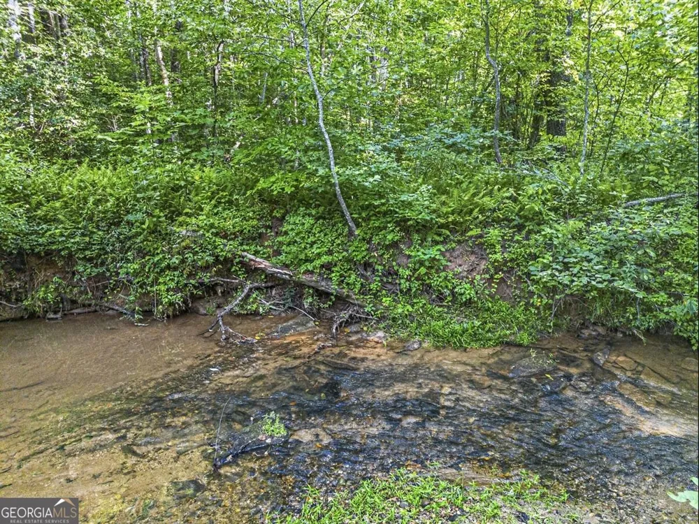 245 Sunrise Valley RD Blue Ridge, GA 30513