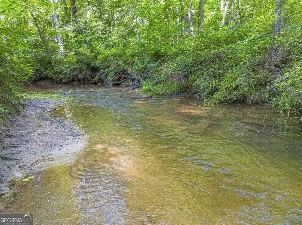 245 Sunrise Valley RD Blue Ridge, GA 30513