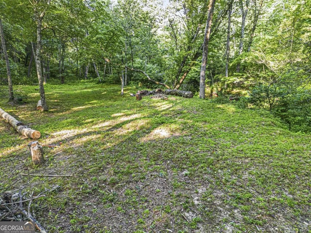 245 Sunrise Valley RD Blue Ridge, GA 30513