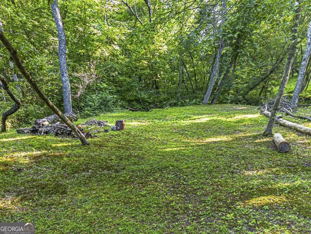 245 Sunrise Valley RD Blue Ridge, GA 30513