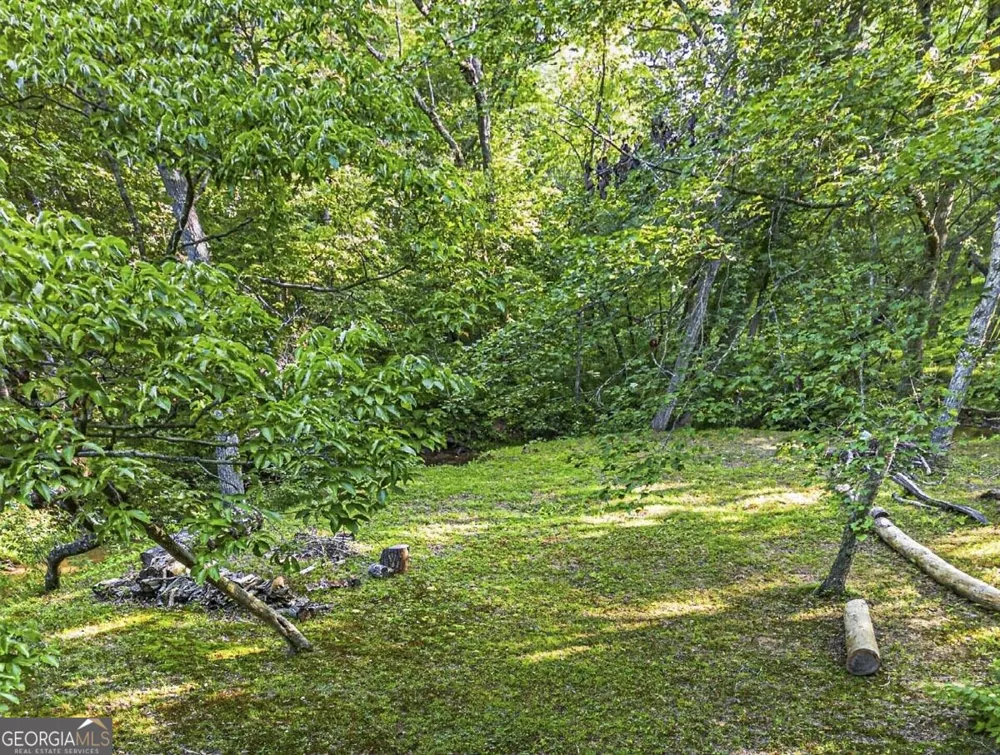 245 Sunrise Valley RD Blue Ridge, GA 30513