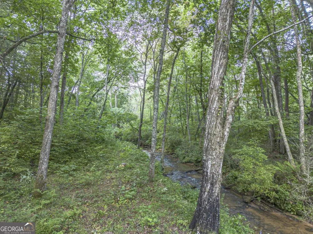 245 Sunrise Valley RD Blue Ridge, GA 30513