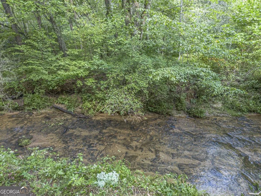 245 Sunrise Valley RD Blue Ridge, GA 30513