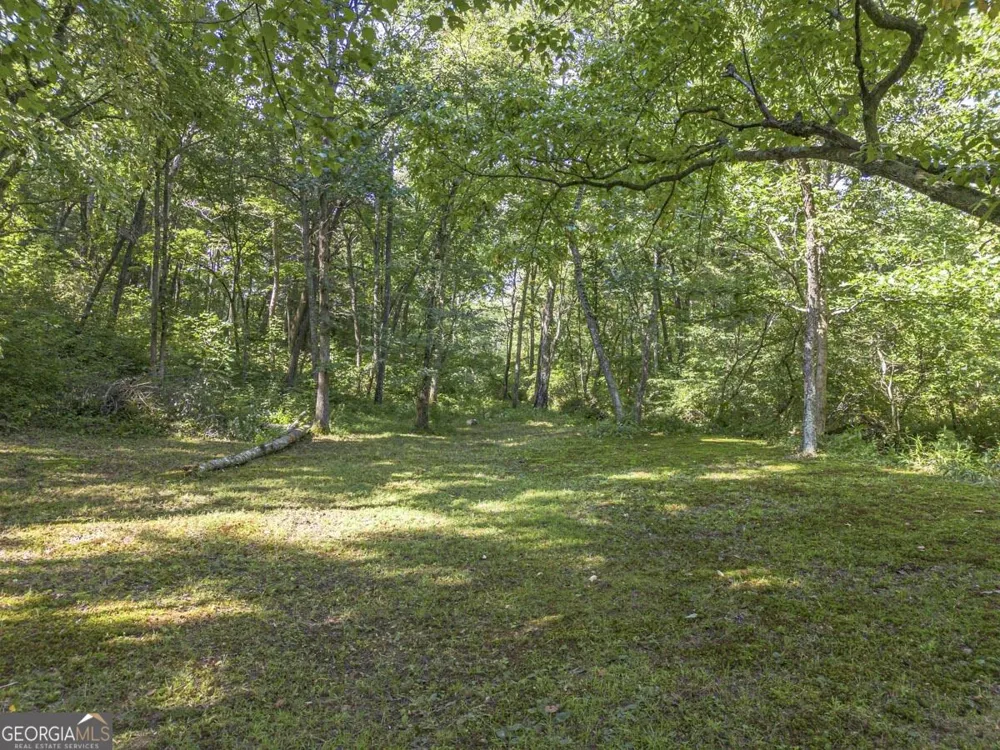 245 Sunrise Valley RD Blue Ridge, GA 30513