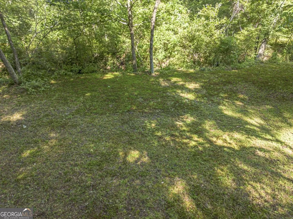 245 Sunrise Valley RD Blue Ridge, GA 30513
