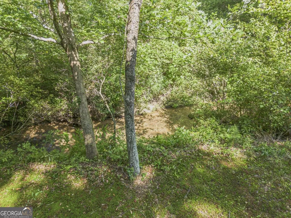 245 Sunrise Valley RD Blue Ridge, GA 30513
