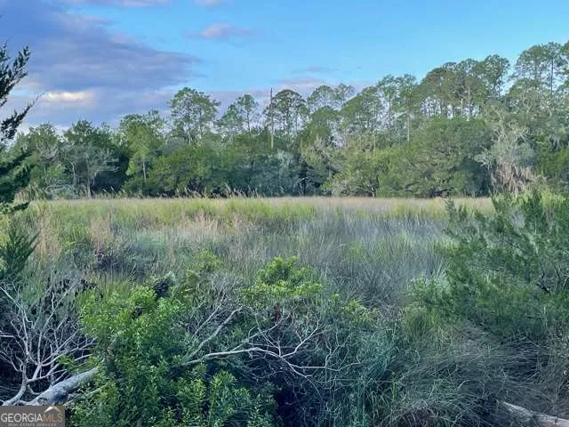120 Montrose St. Simons, GA 31522