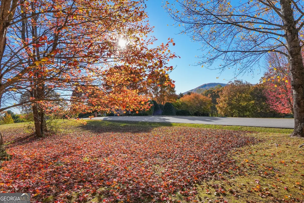 0 Rome Beauty Lane, Lot 4 Clarkesville, GA 30523