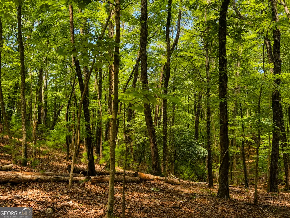 J208 Pine Ridge RD Ellijay, GA 30536