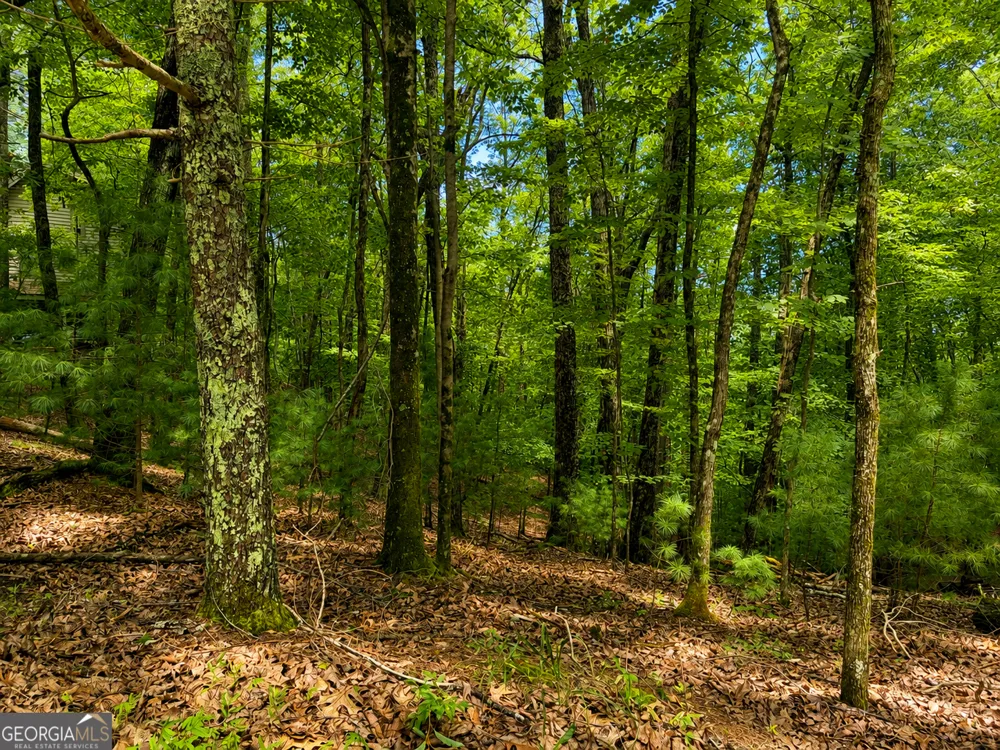 J208 Pine Ridge RD Ellijay, GA 30536