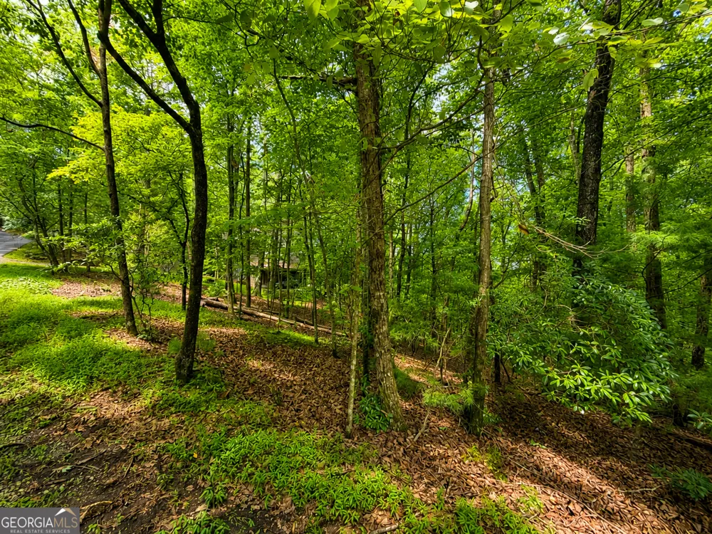 J208 Pine Ridge RD Ellijay, GA 30536