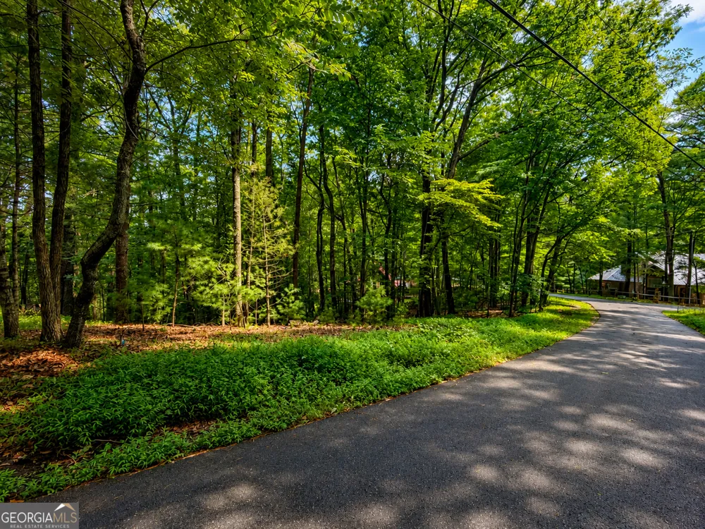 J208 Pine Ridge RD Ellijay, GA 30536