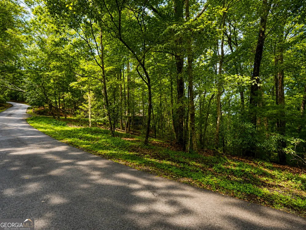 J208 Pine Ridge RD Ellijay, GA 30536