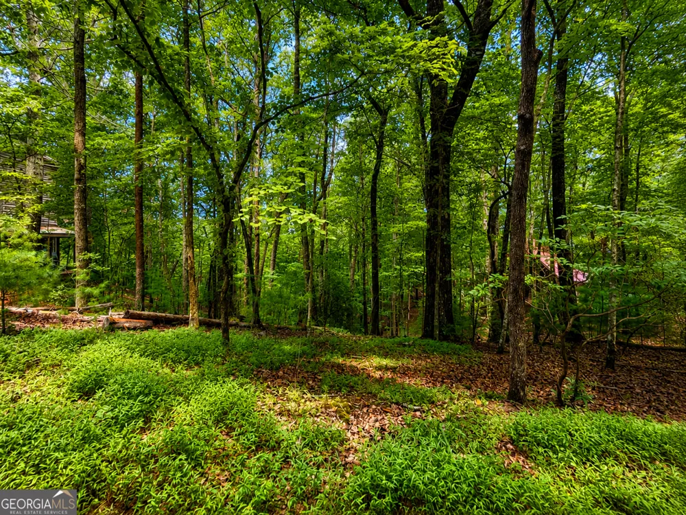J208 Pine Ridge RD Ellijay, GA 30536