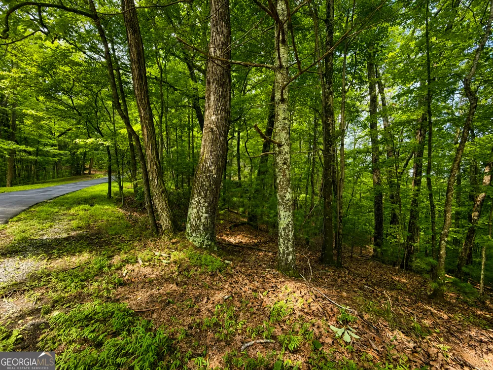J208 Pine Ridge RD Ellijay, GA 30536