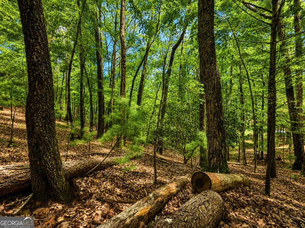 J208 Pine Ridge RD Ellijay, GA 30536