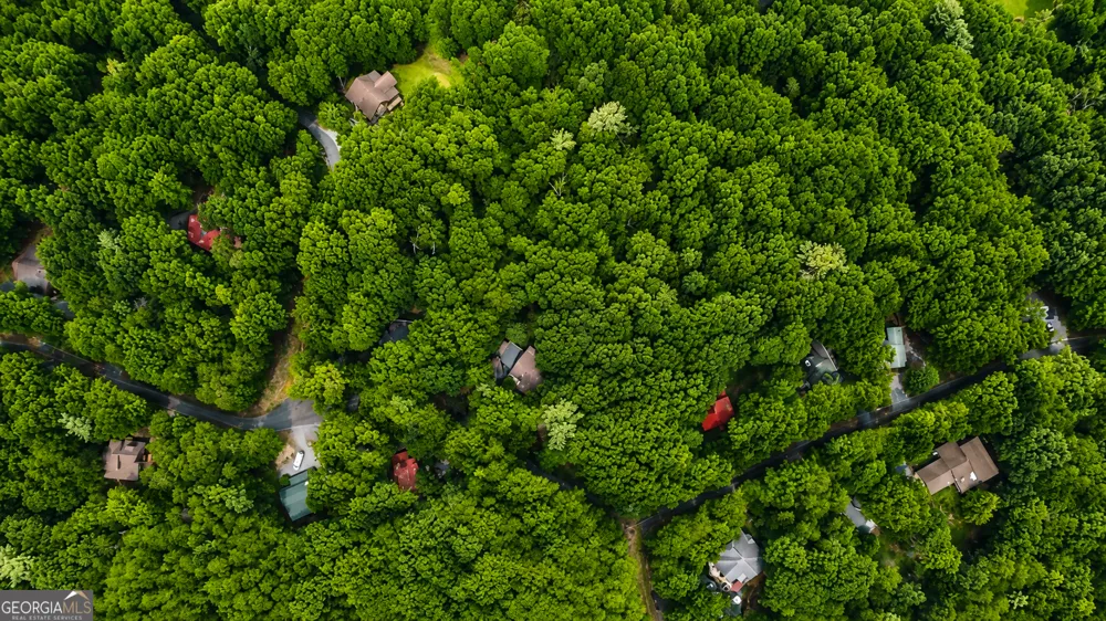 J208 Pine Ridge RD Ellijay, GA 30536